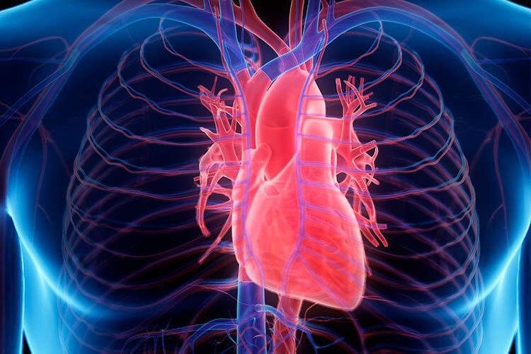 insuficiencia cardiaca